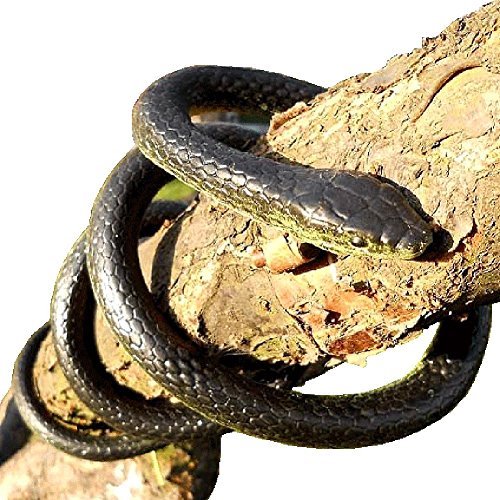 Realistic Rubber Black Mamba Snake Toy 52 Inch Long Desertcart