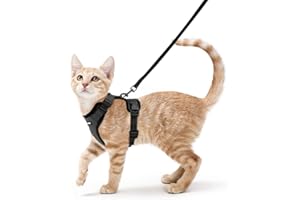rabbitgoo Cat Harness and Leash for Walking, Escape Proof Soft Adjustable Vest Harnesses for Cats, Easy Control Breathable Reflective Strips Jacket, Black, XS