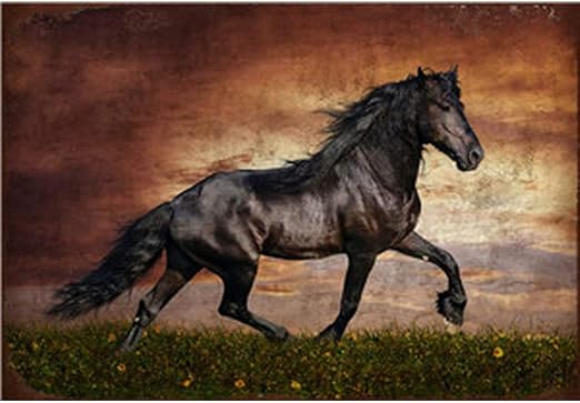 Télécharger gratuitement Images Facile Peintre Plaque En Metal Les Animaux Cheval Panneau actualisé par