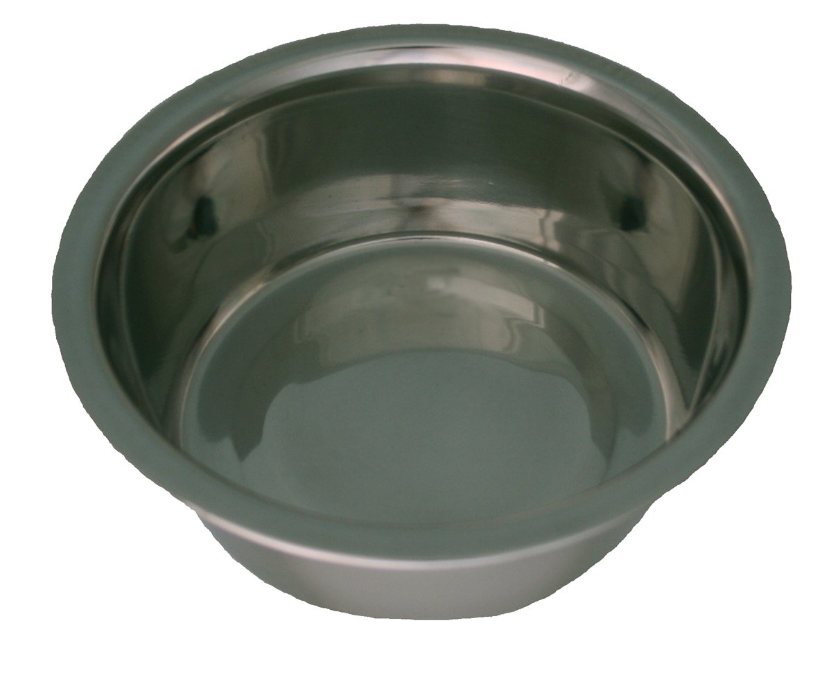My Pet Dog Life Stainless Steel Taper Bowl, 11-inch Dia
