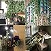 NAYARD Ivy Garland Artificial Vines Greenery Garland 12 Strands 82 Feet Silk Ivy Leaves Garlands Decorations for Wedding Party Garden Water Pipe Fence Outdoor Indoor Wall (Fake Vines)