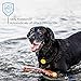 Dog Training Collar, Rechargeable & Waterproof, Blind Operation with Anti-stuck Button Remote 330yd Range, Dog Shock Collar with Beep, Vibration and Shock Mode for Small Medium Large Dog, 10-88lbs