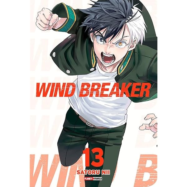 Wind Breaker 15 | Amazon.com.br
