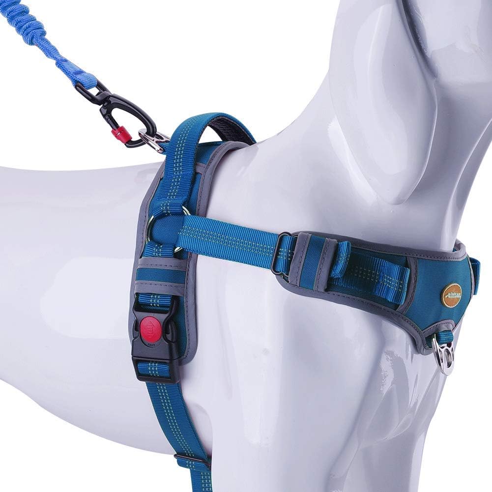 AdventureMore No Pull Choke Free Dog Halter Harness Leash Set - Dog Harness with Handle & 5 ft Double-Handle Shock Absorbing Bungee Training Leash