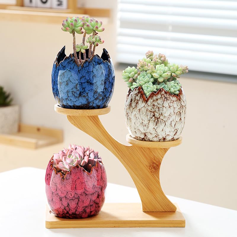 Photo 1 of YYW Succulent Planter Pots Indoor Ceramic Decoration Cactus Small Flower Plant Pot with Tree Tier Bamboo Stand for Garden Kitchen Home Office Decor Plant Lovers Gifts 3Pcs