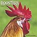 2016 Roosters Wall Calendar by 
