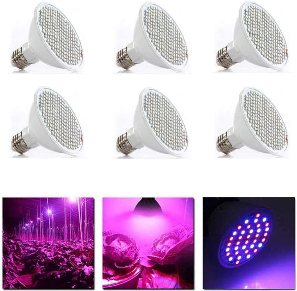 luci idroponiche per piante d'appartamento