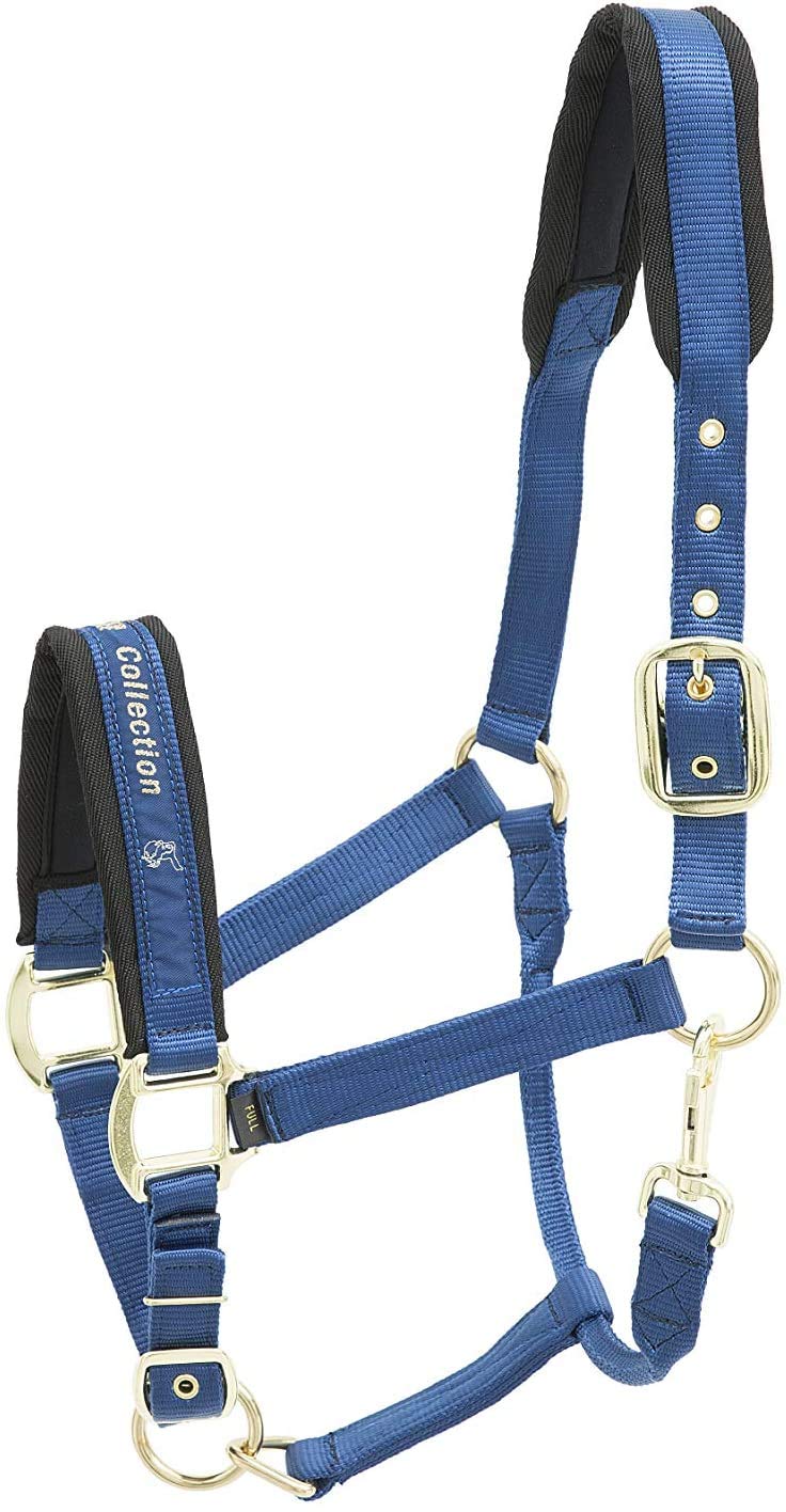KIEFFER Nylon Headcollar COLLECTION