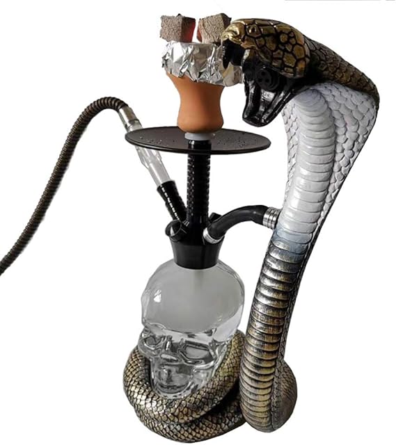 TYXSS Personalidad Cachimba Árabe Cobra Shisha De Calavera Transparente Kit Completo con 4
