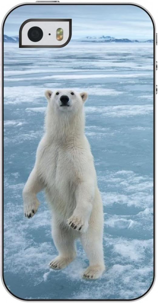OUO Snap on Case Iphone 5 5s with Design of Cute Polar Bear