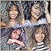 Afro Curly Hair Black Gray Wigs with Bangs Mixed Color Shoulder Length Hair Short Synthetic Kinky Curly Wigs for Black Women Shoulder Length Heat Resistant Fiber Wig