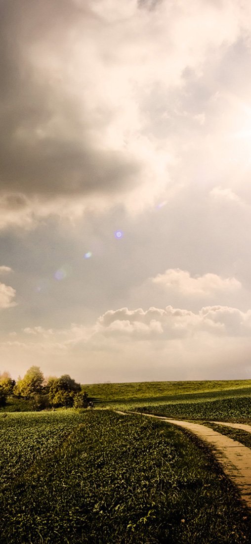 PeelitStickit, Beautiful Nature Wall Murals, ID-1168, vinyl