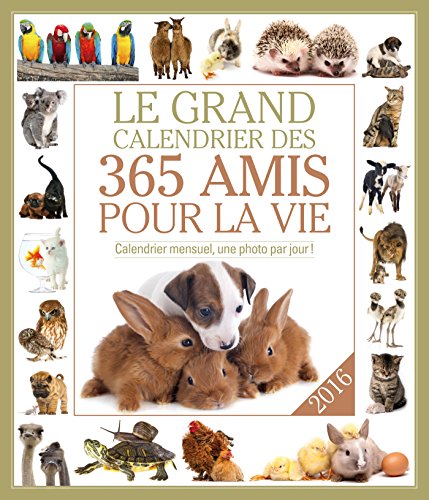 Le grand calendrier des amis pour la vie 2016 : Calendrier mensuel, une photo par jour ! by Editions 365