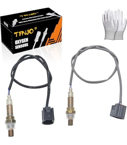 法学原理 法理学原理（导论） | PDF