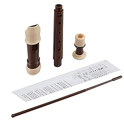 Soprano Recorder Descant Flauta Recorder 8 Hole ABS