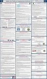 2017 Idaho State and Federal Labor Law Poster - Laminated 24