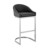 Armen Living Katherine Bar Stool in Brushed