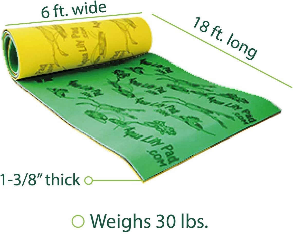 aqua lily pad amazon