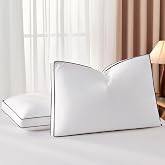 DOWNSTORIA Goose Feather Down Pillows Queen Size Set of 2 with Gusset, Luxury Hotel Collection Bed Pillow 2 Pack, 20x30 Inch Down Surrounded Gusseted Sleeping Pillows, Fluffy for Side, Back Sleepers