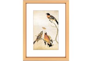 BKABOT 3x4 Picture Frame, Gold Metal Photo Frames with HD Glass, Fits 2x3 with Mat or 3 x 4 without Mat, Display for Wall and Table, 1 Pack