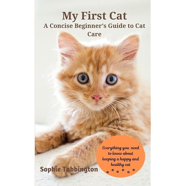 Beginner Guide to Cat Care: Essential Tips for New Cat Owners