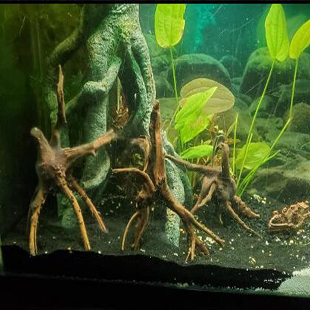 View 7