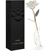 SW White Gold Rose Gifts for Women Wife,24k Gold Dipped Real Rose Lasted Forever with Stand for Her,Christmas,Valentines Day, Mothers Day, Birthday