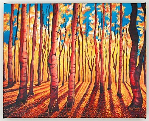 Birch Trees in the Fall 16x20 Fine Art Canvas Print