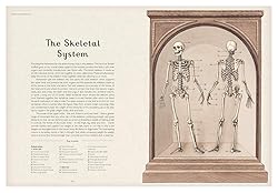 Anatomicum