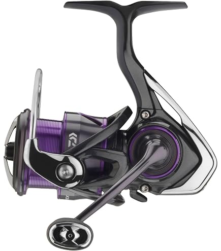 Amazon.com : Daiwa Moulinet Spinning Silvercreek X Lt 2022 2000 S