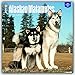 Alaskan Malamutes 2017 Calendar