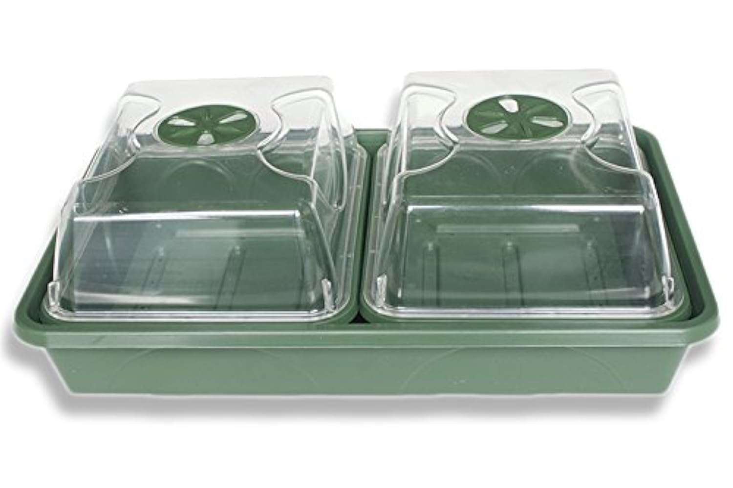 EarlyGrow MPL50081/P 2-Bay Windowsill Propagator - 38cm - Green