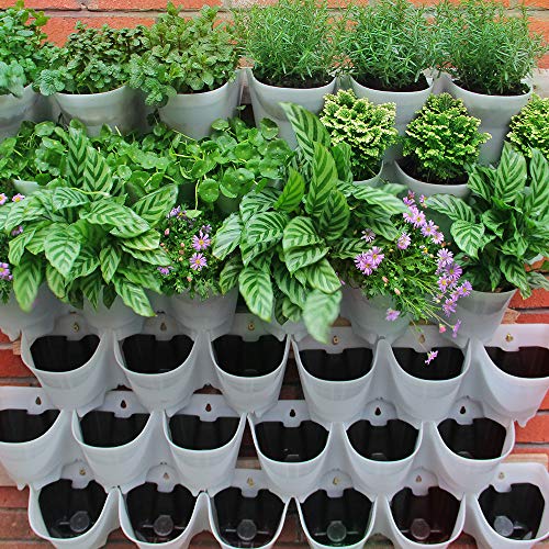 SELF Watering Vertical Wall Hangers with Pots Included – Wall Plant Hangers – Each Wall Mounted Hanging Pot has 3 Pockets – 36 Total Pockets in This Set – Self Watering Planter Set
