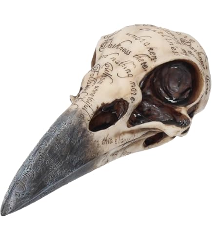 Amazon.com: Nemesis Now Raven's Spell 10.3cm, Black U5744U1 : Home