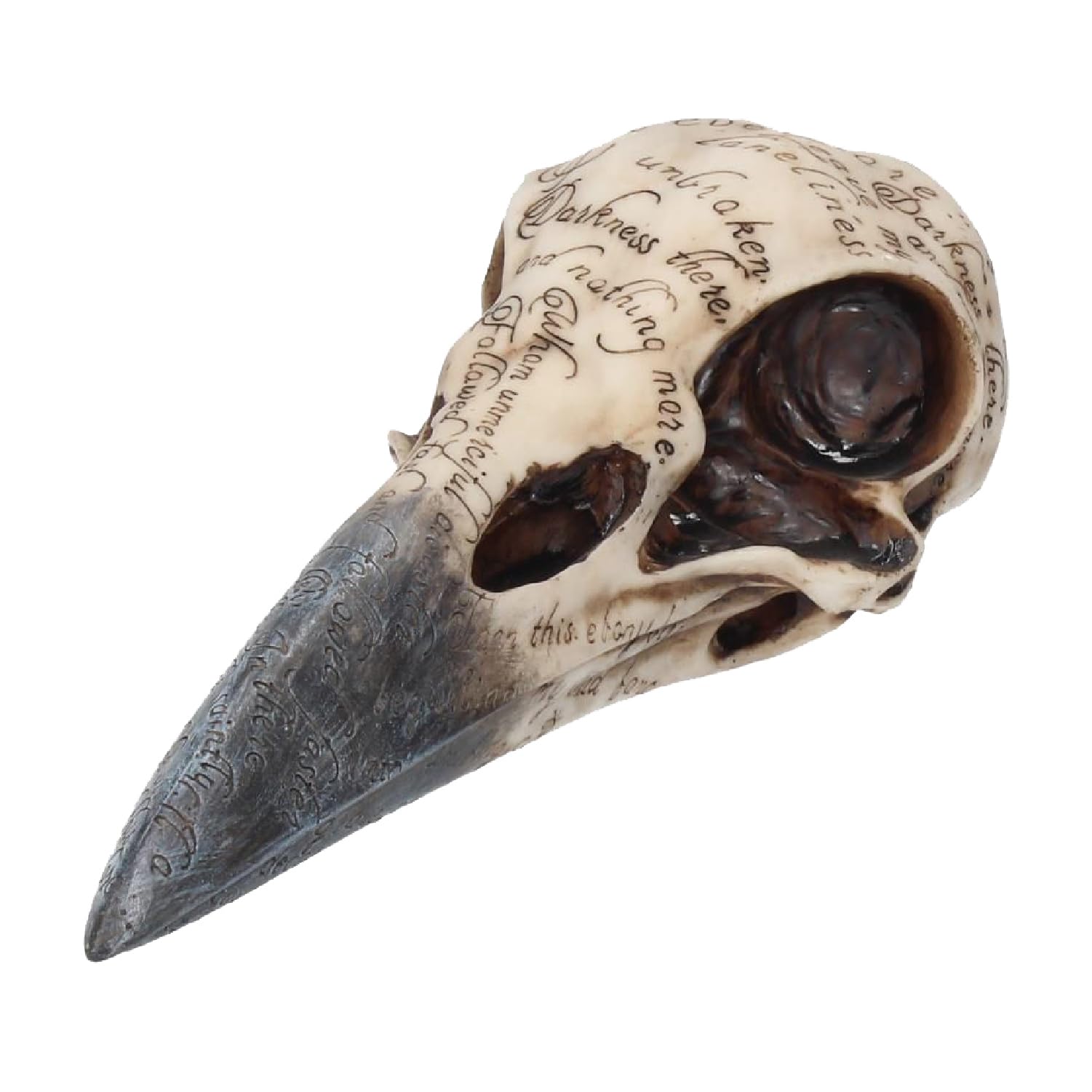 Nemesis Now Edgar's Raven Skull Figurine 25cm Ivory