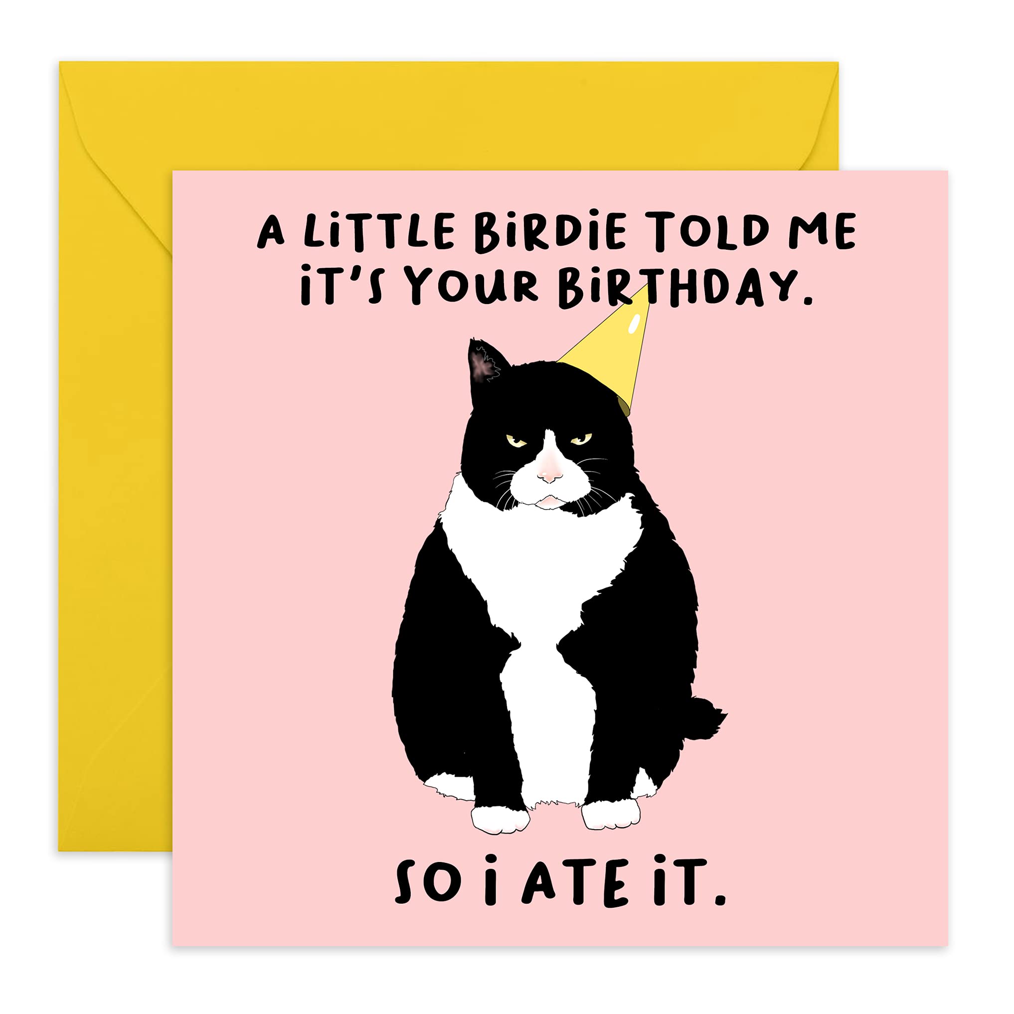 Central 23 - Humorous Birthday Card - Happy Birthday for Friends – Funny Design – Cat Birthday Card – Comes with Fun Stickers