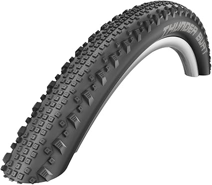 schwalbe thunder burt 29 2.1