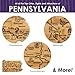 Totally Bamboo Destination Pennsylvania State Shaped Serving and Cutting Board, Includes Hang Tie for Wall Display