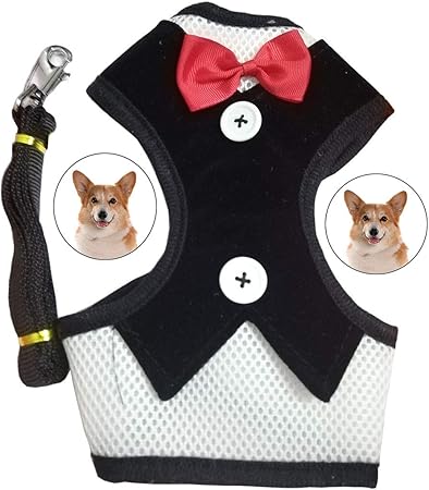 Regali Di Natale Per Cani.Bibione Regolabile Gilet Per Cani Regali Di Natale Per Cuccioli Di Gatti Piccoli Animali Domestici Carino E Morbido Guinzaglio Per Animali Domestici Regolabile Amazon It Prodotti Per Animali Domestici