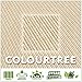 ColourTree 24' x 24' x 24' Beige Triangle CTAPT24 Sun Shade Sail Canopy Mesh Fabric UV Block UPF50 - Commercial Heavy Duty - 190 GSM - 3 Years Warranty ( We Make Custom Size )