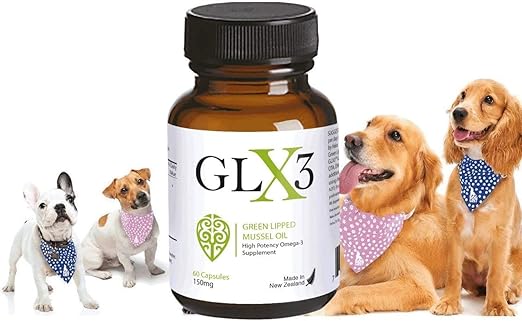 best green lipped mussel supplement for dogs