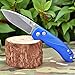 TANGRAM Folding Pocket Knife 2.89 Inch,Button Lock and Manual Opening, JPN Acuto Drop-Point Sharp Blade and Ultra Light Aluminum Handle,3.3 oz (Blue) Vector TG3003A2