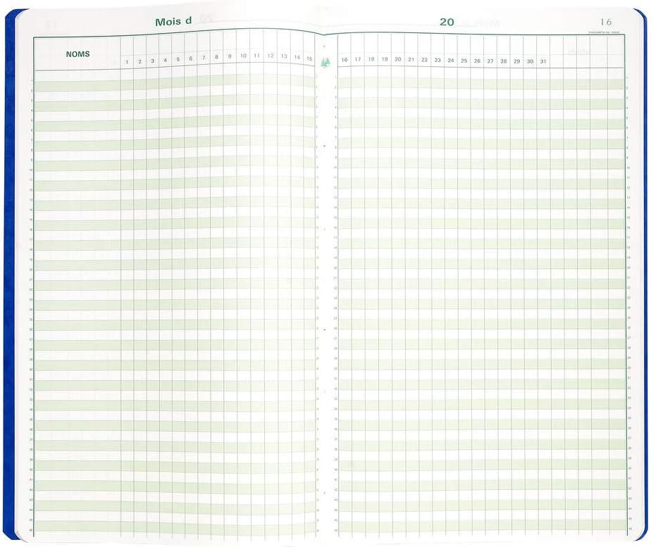 Exacompta 40x24cm Vertical Record Keeping Book, 46 Lines, 80 Pages (French), Mixed Colours - Image 4