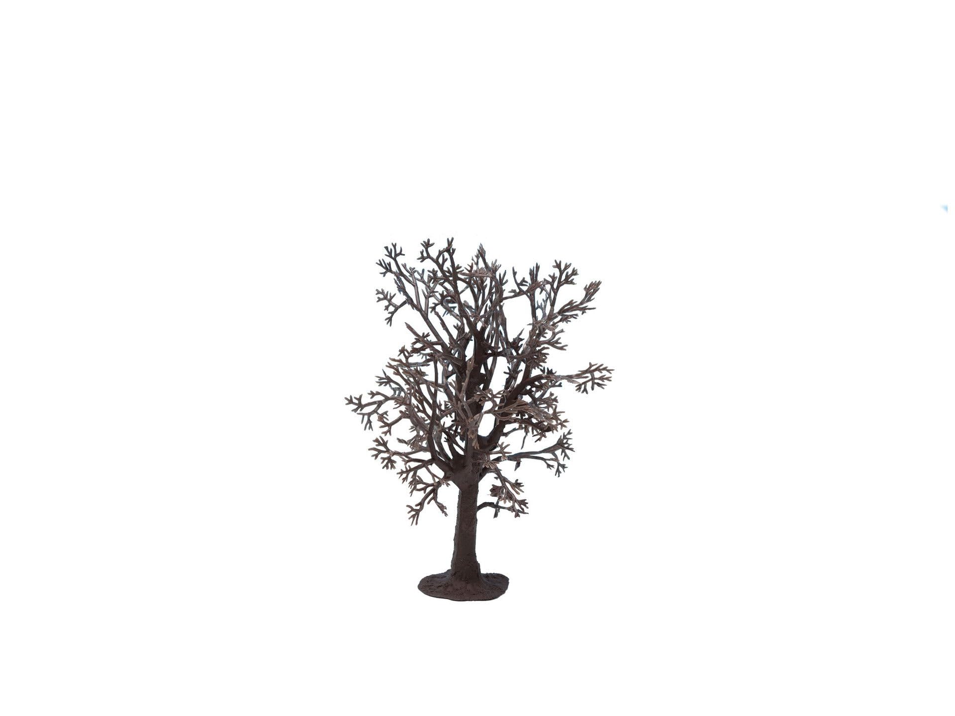 Noch 22010 Tree Structure Beech Landscape Modelling