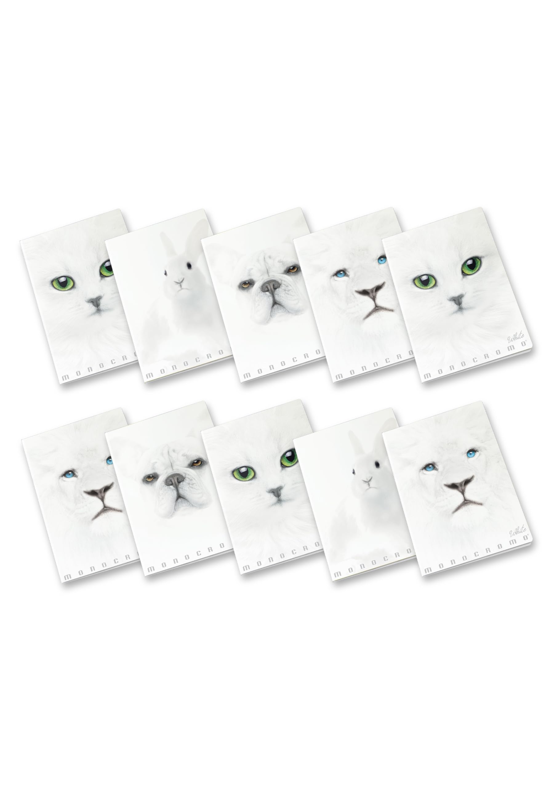 Pigna CF10 MAXIMONOCHROMO White 0Q A4 10G