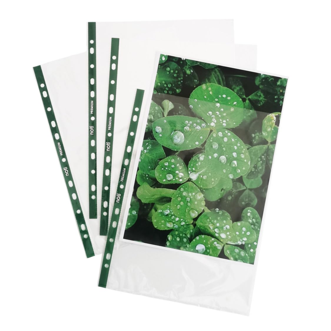 Noti Plastic Wallets A4, Punched Polly Pockets, Premium Glass Clear, (Pack of 100 Pieces)