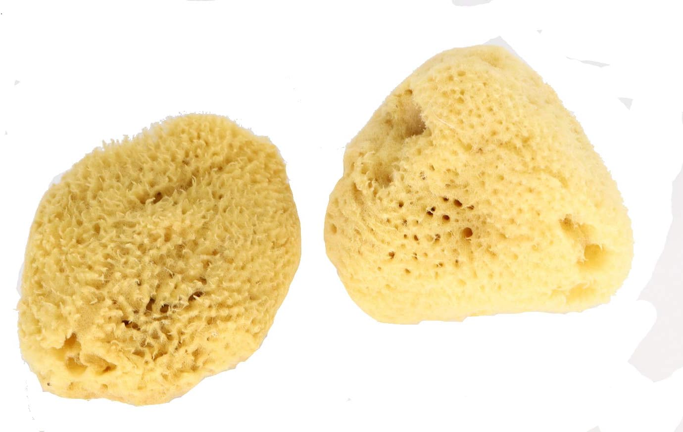 Natural Spa Supplies Silk Fina Natural Sea Sponge, 2-Piece