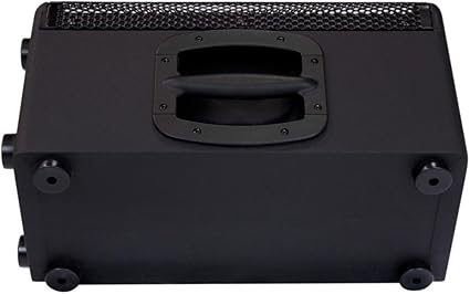 kustom 10 inch monitor