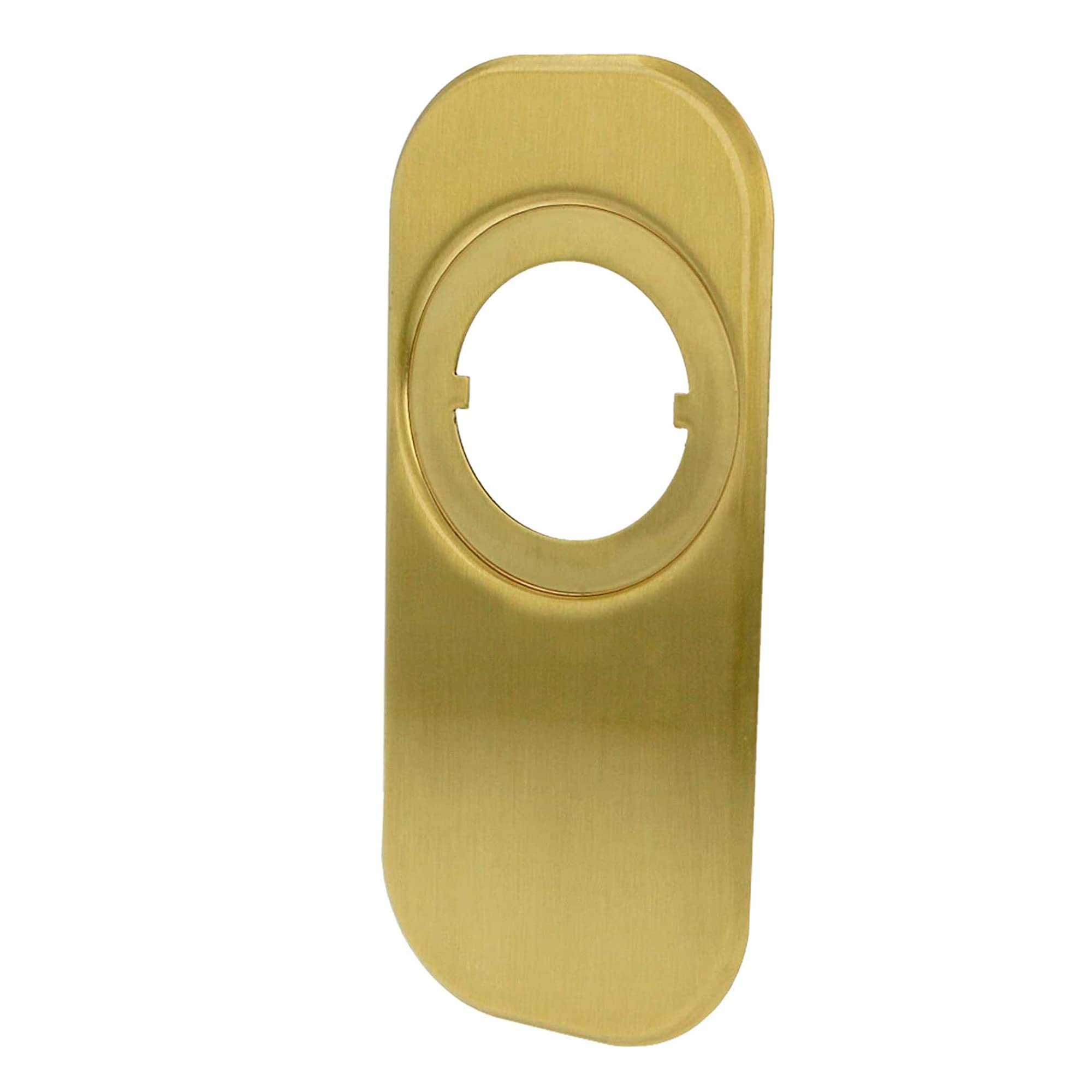 AMIG 6356 – Faceplate 10 – 165 x 74 Brass Matt
