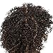Befunny Curly Wigs for Black Women Short Jerry Kinky Curly Human Hair Wigs For Women Soft Fluffy None Lace Highlight Brown/Black Wigs (P1B/30#)
